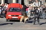 ARRESTATION POLICE 048